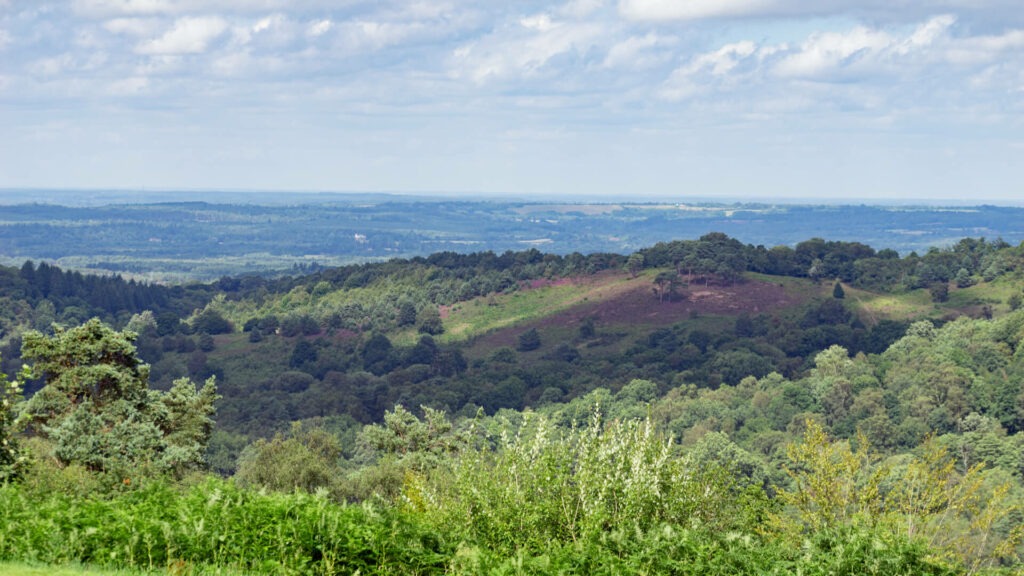 A view from the Devil's Punchbowl in Hindhead. 
