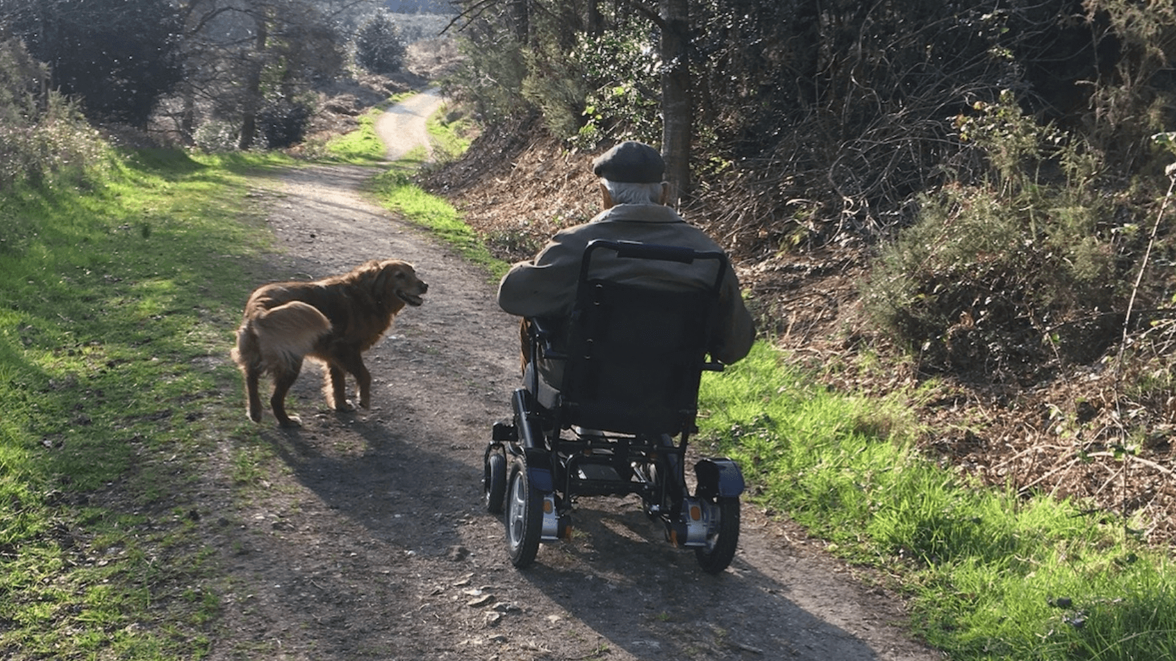 LITH-TECH wheelchair user on grass (1)